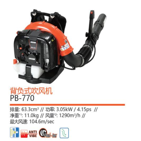 营口专业草坪厂家